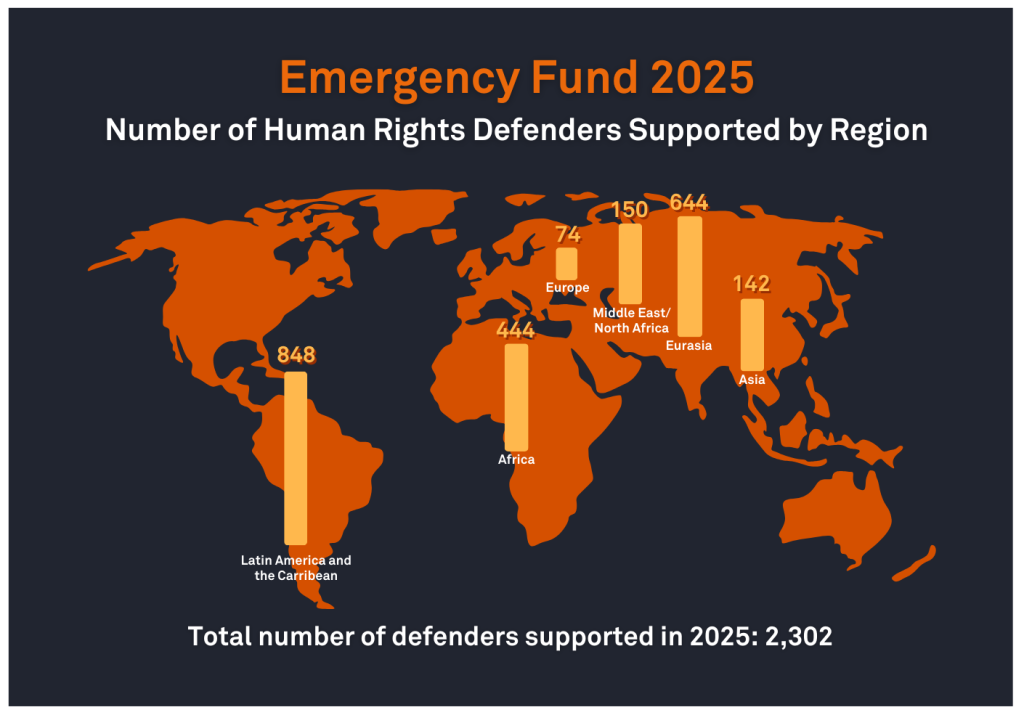 Apoyo al Fondo de Emergencia para Defensores de Derechos Humanos – 2025 en números