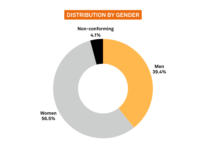 Distribution by gender, Non-conforming 4.1%, Men 39,4%, women 56,5%