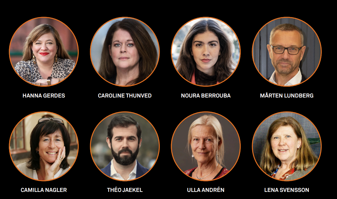 Civil Rights Defenders styrelse 2026